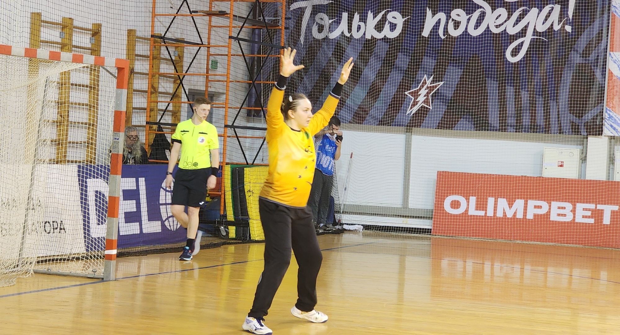 Звенигород, Спорт, Гандбол, Чемпионат России по гандболу, Гандбольная команда Звезда, вертикалки,