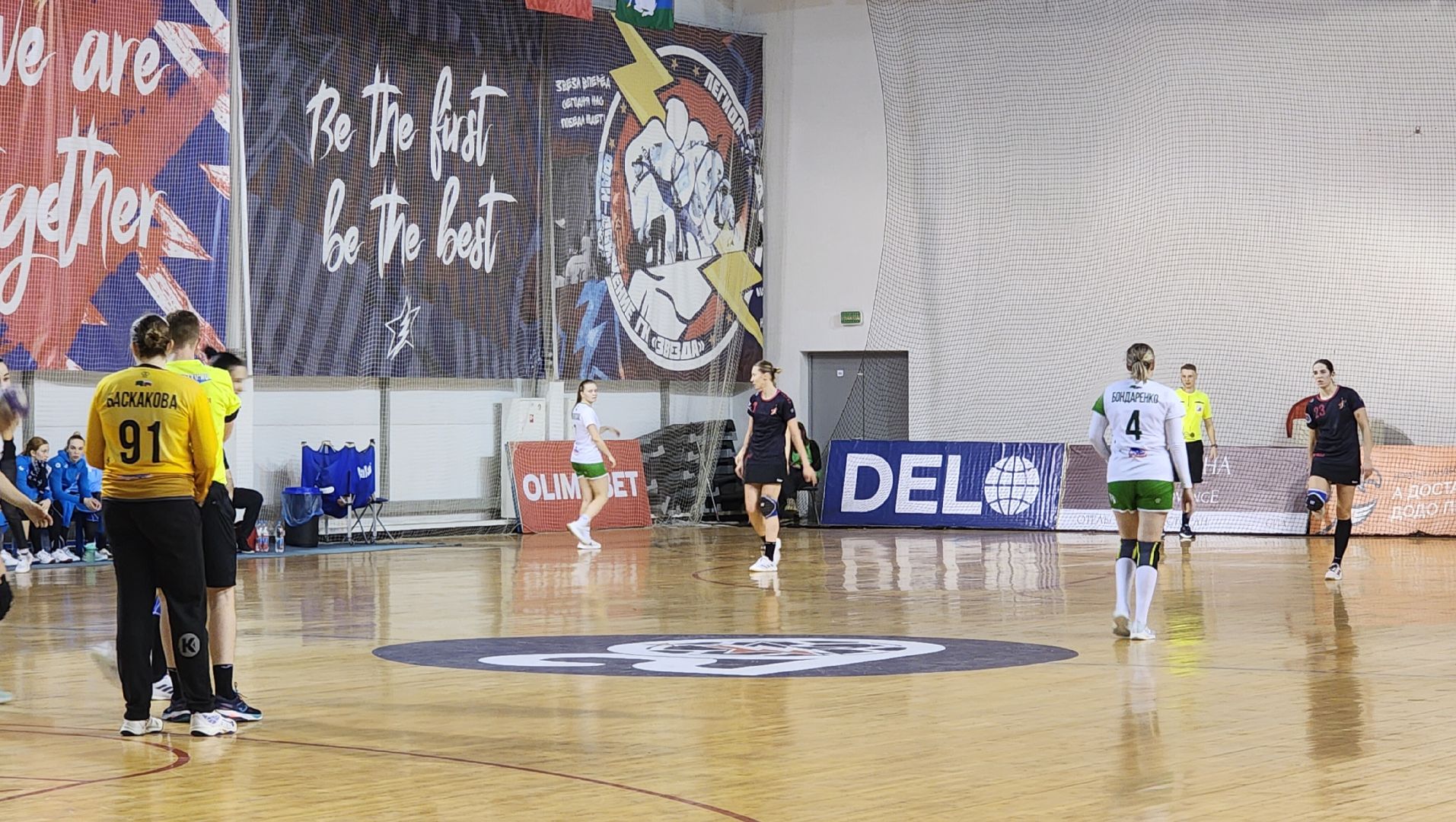 Звенигород, Спорт, Гандбол, Чемпионат России по гандболу, Гандбольная команда Звезда, вертикалки,