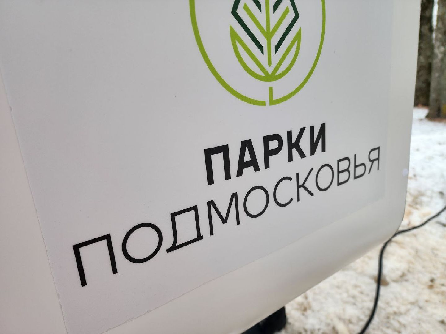 Солнечногорск, фотобудка, парк, Жители, Вертикалки,