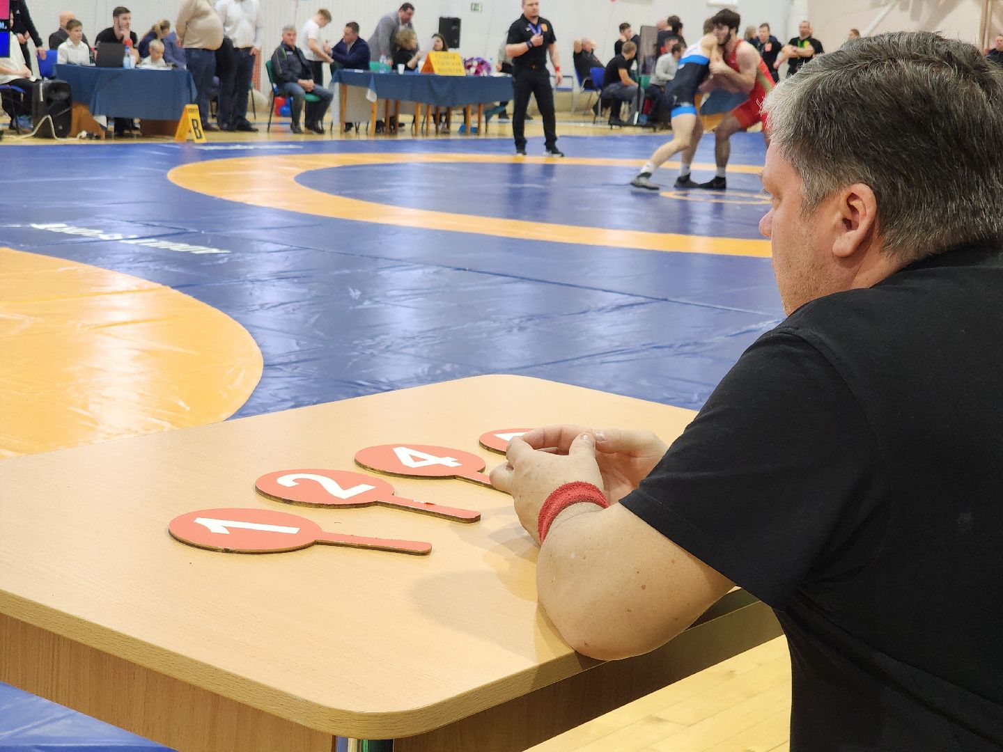 вертикалки,