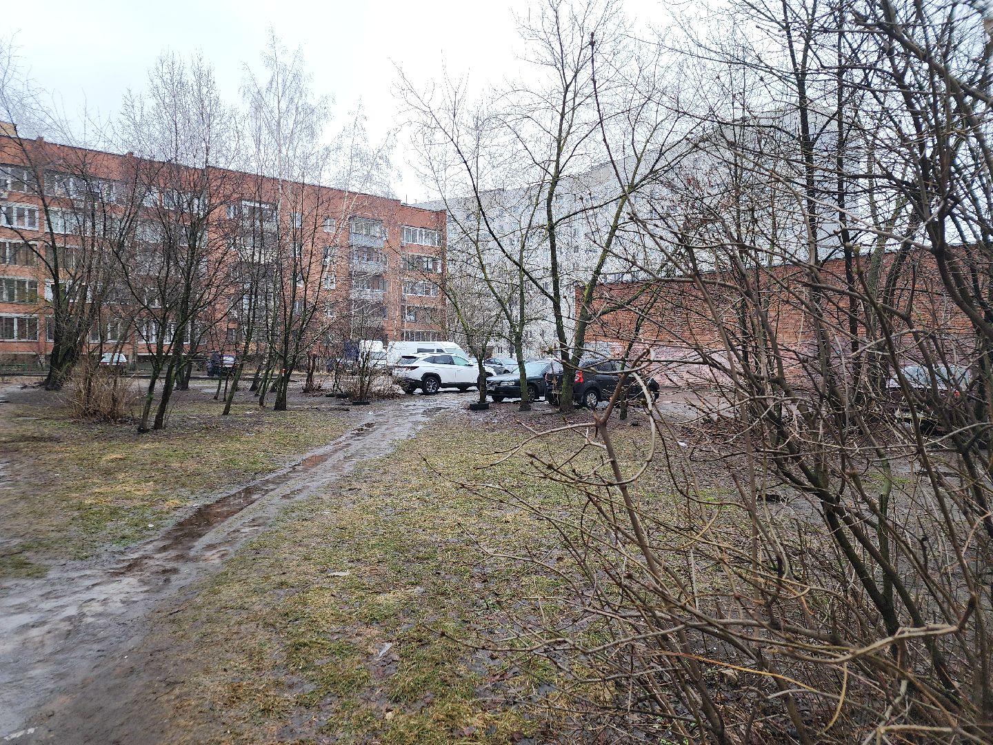 вертикалки, выездная администрация, орехово зуево, благоустройство,