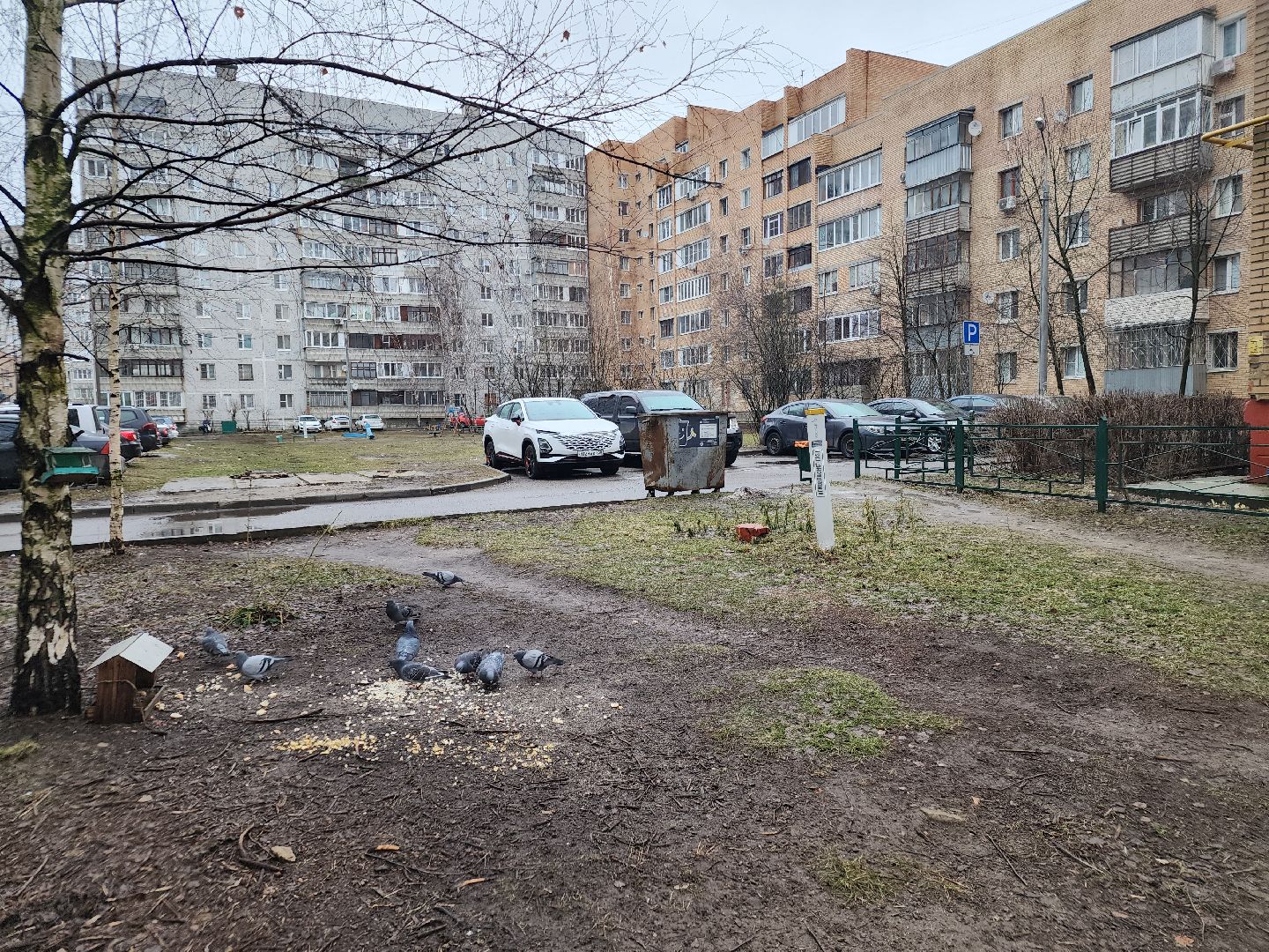 вертикалки, выездная администрация, орехово зуево, благоустройство,