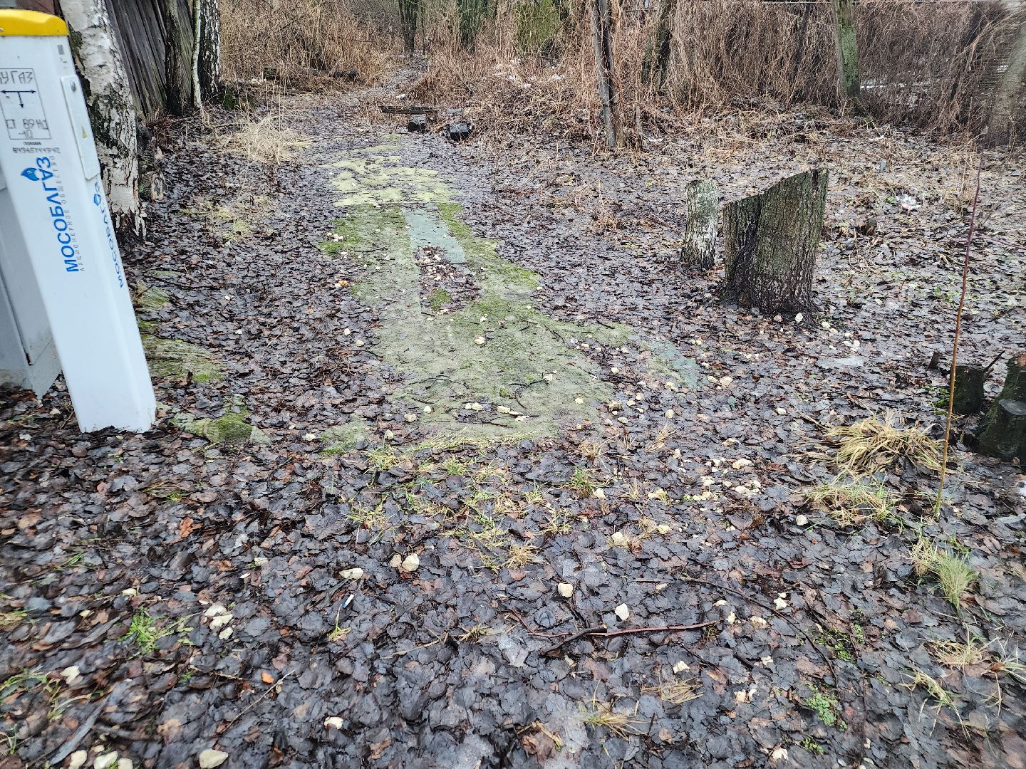 вертикалки, выездная администрация, орехово-зуево, ремонт дорог,