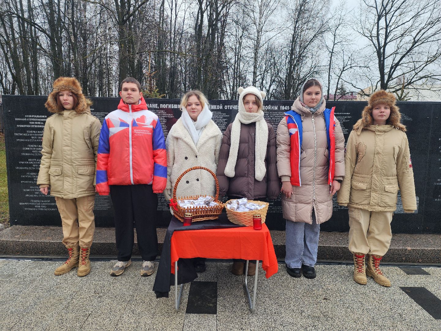 Молодая гвардия, Блокада Ленинграда, Луховицы, аллея славы,вертикалки,