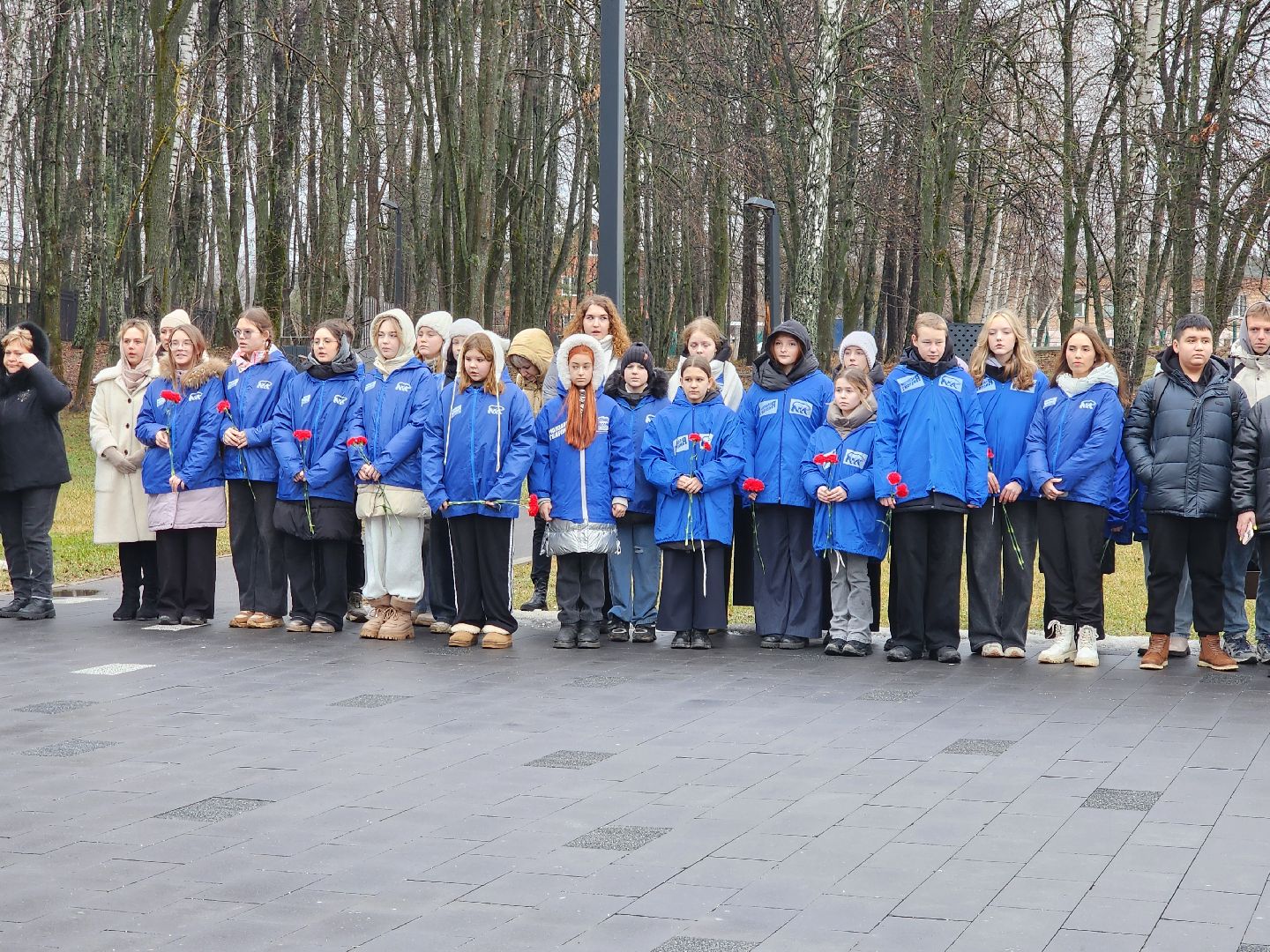 Молодая гвардия, Блокада Ленинграда, Луховицы, аллея славы,вертикалки,