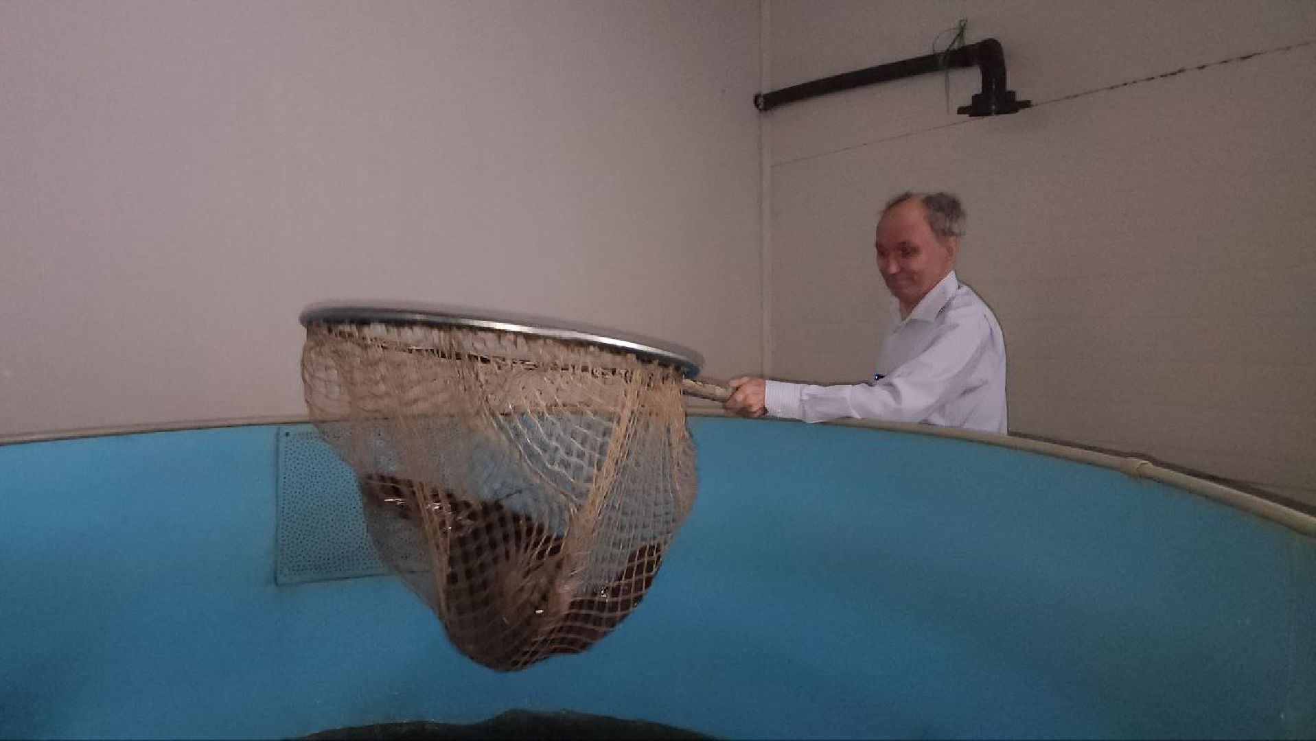 Луховицы, Акваферма, вертикалки