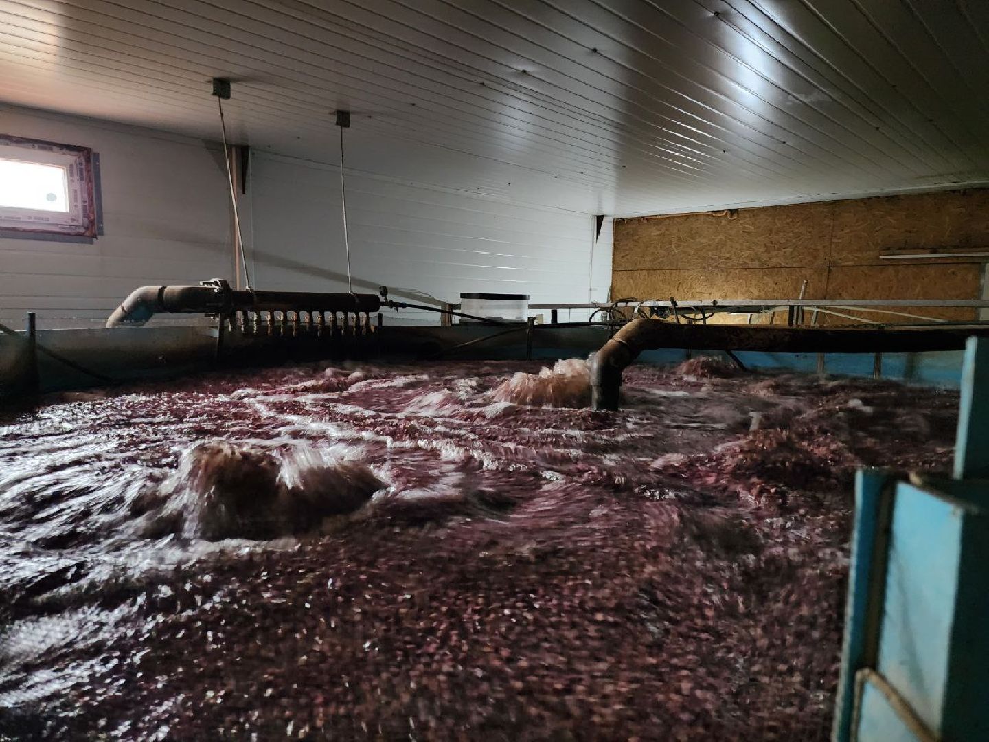 Луховицы, Акваферма, вертикалки