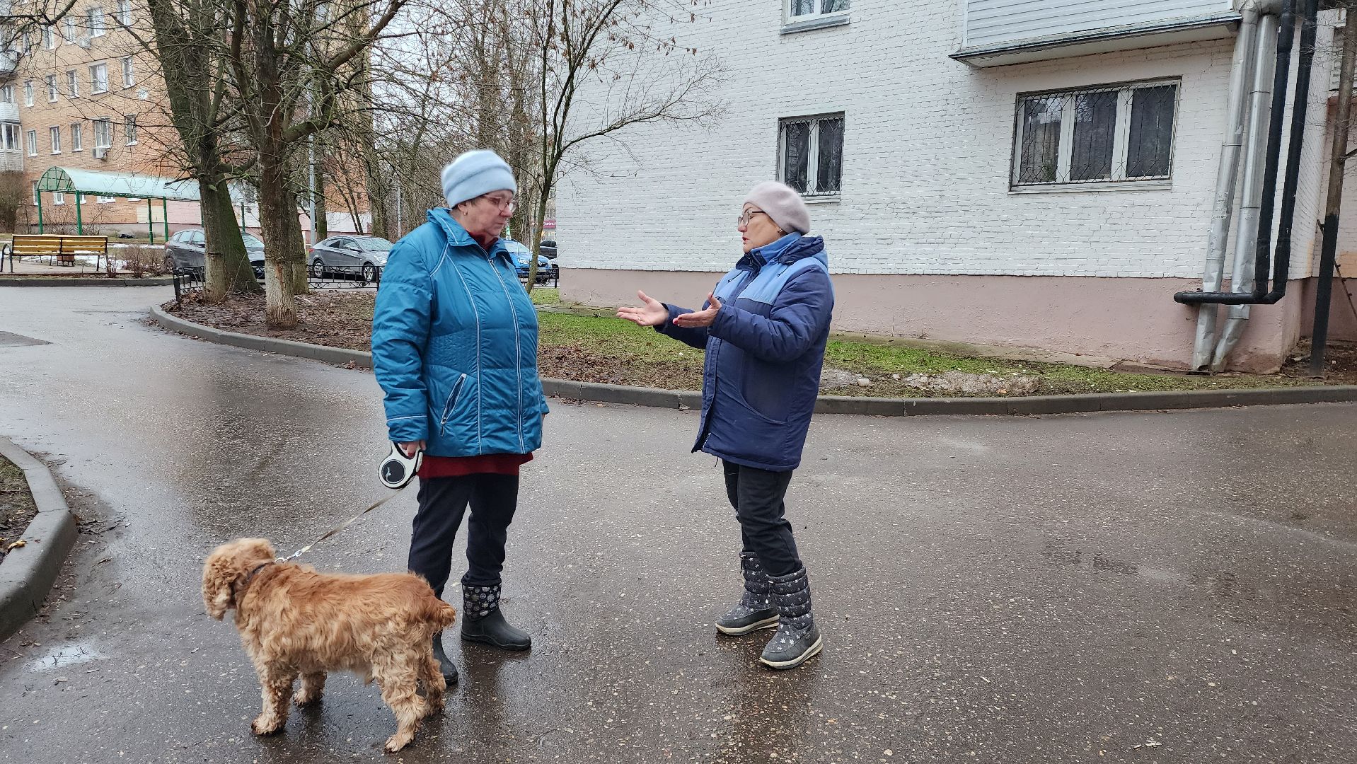 ремонт подъездов, жкх, истра, вертикалки,