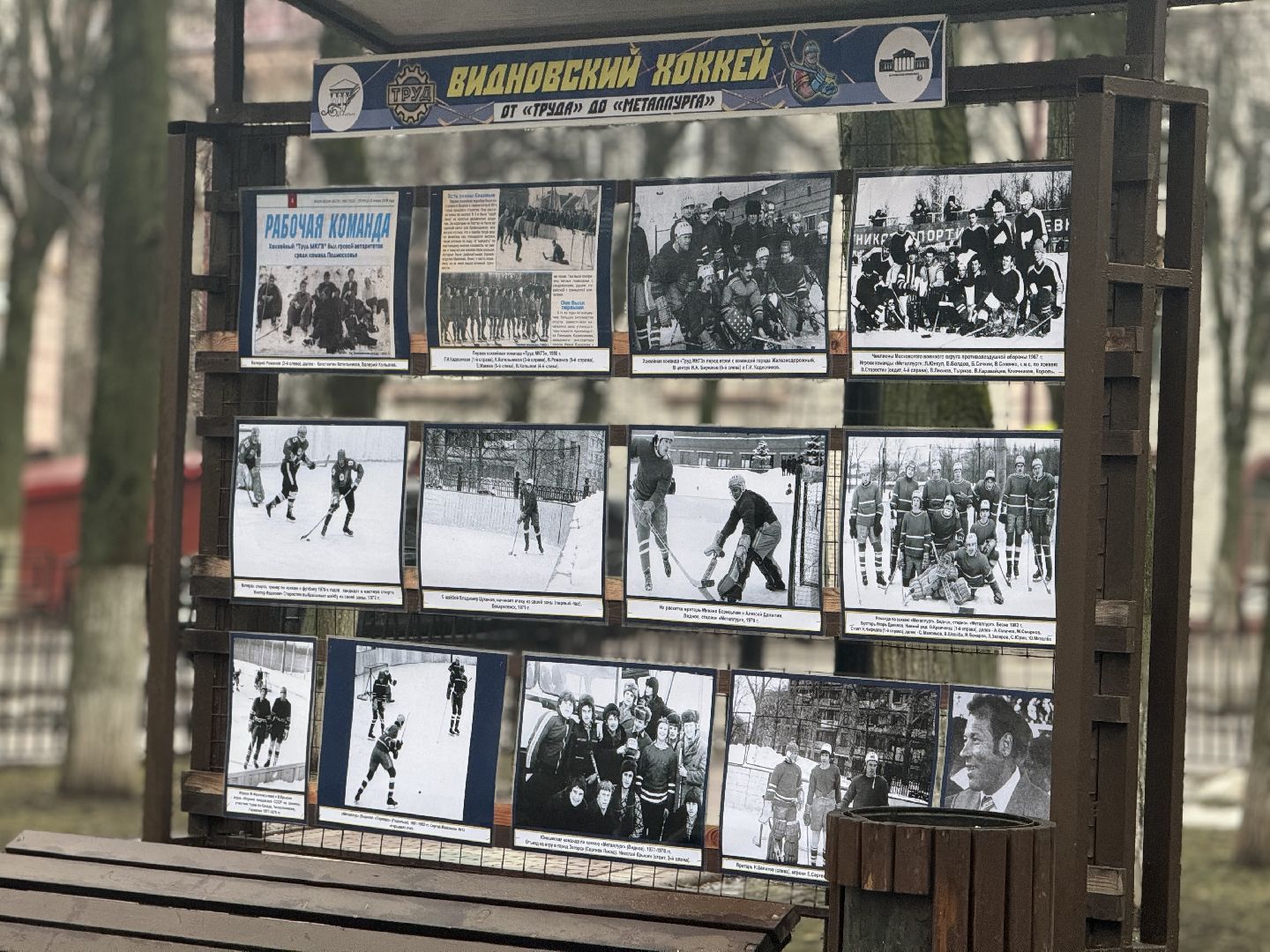 Хоккей, Фотовыставка, сквер юность,Видное,