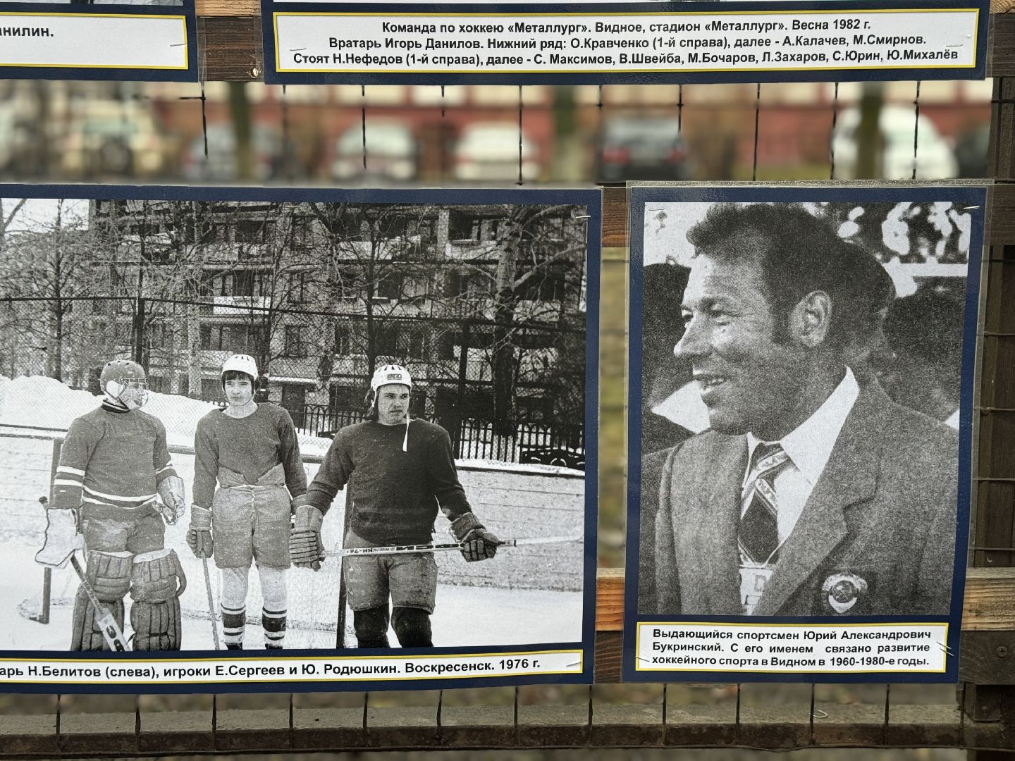 Хоккей, Фотовыставка, сквер юность,Видное,