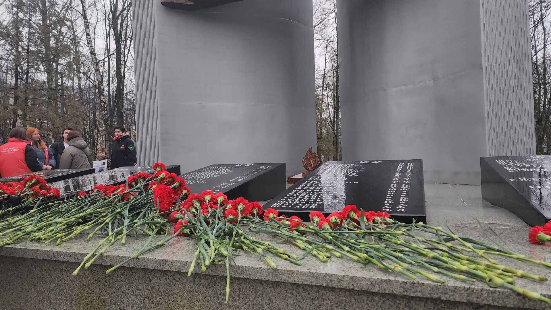 митинг, блокада ленинграда, годовщина, балашиха, блокадники,