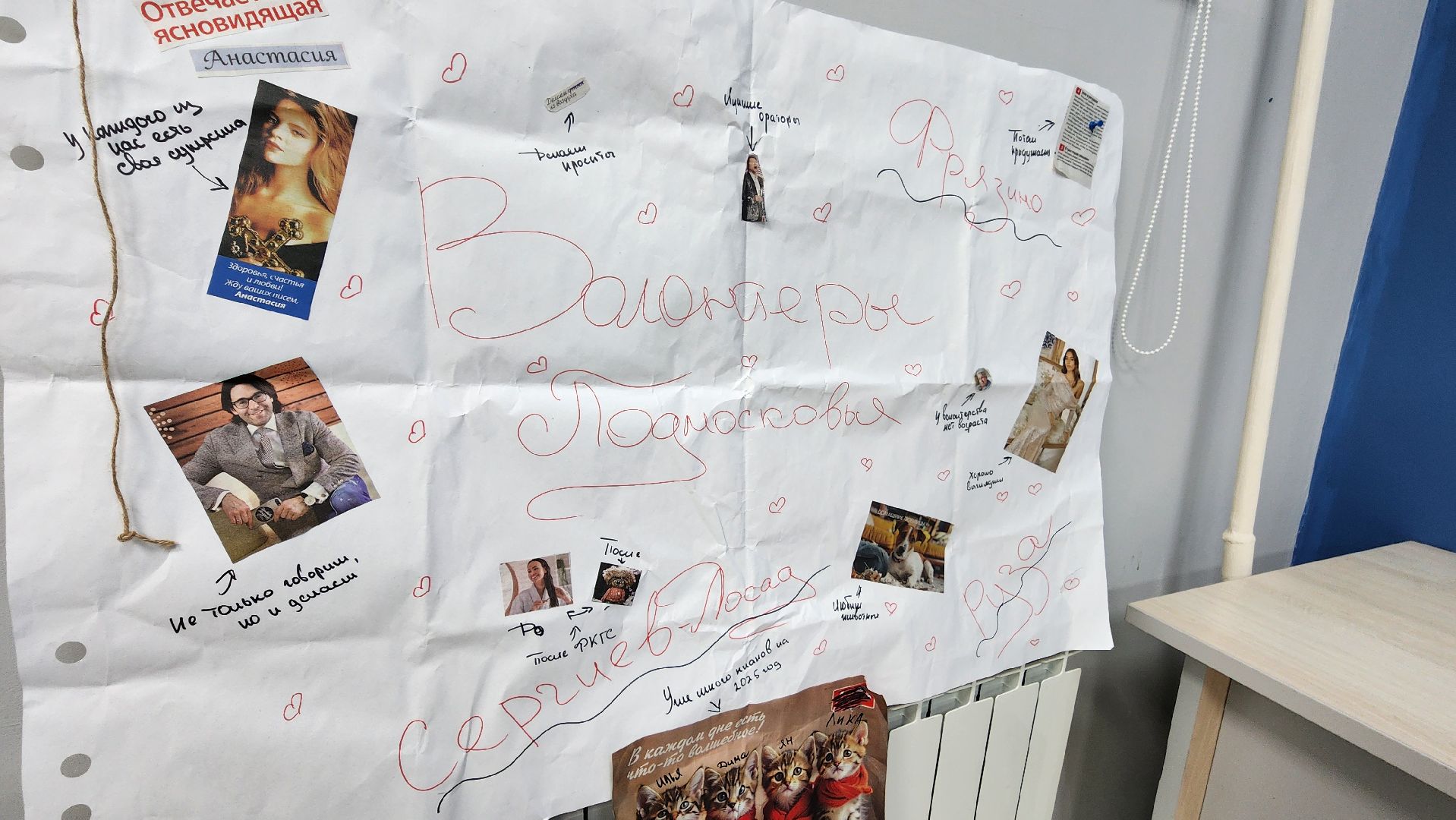 волонтрство, можайский приют для собак, руза, рузский муниципальный округ, молодежный центр,