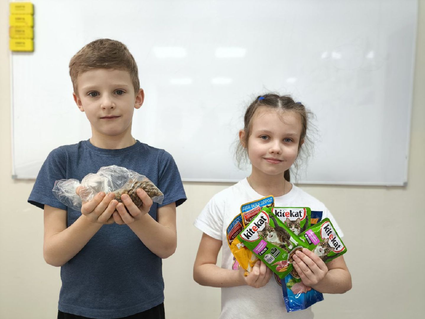 волонтрство, можайский приют для собак, руза, рузский муниципальный округ, молодежный центр,