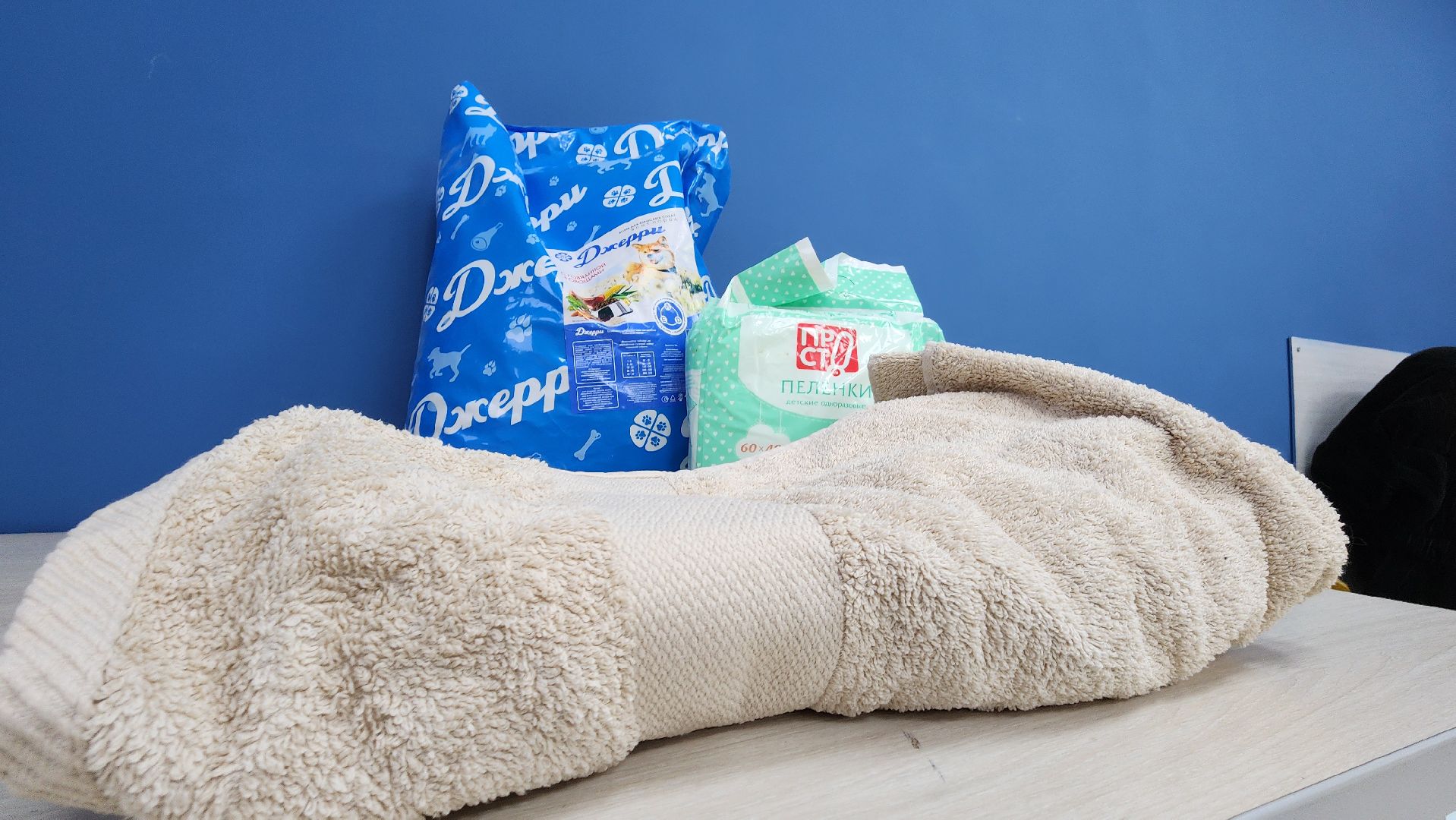 волонтрство, можайский приют для собак, руза, рузский муниципальный округ, молодежный центр,