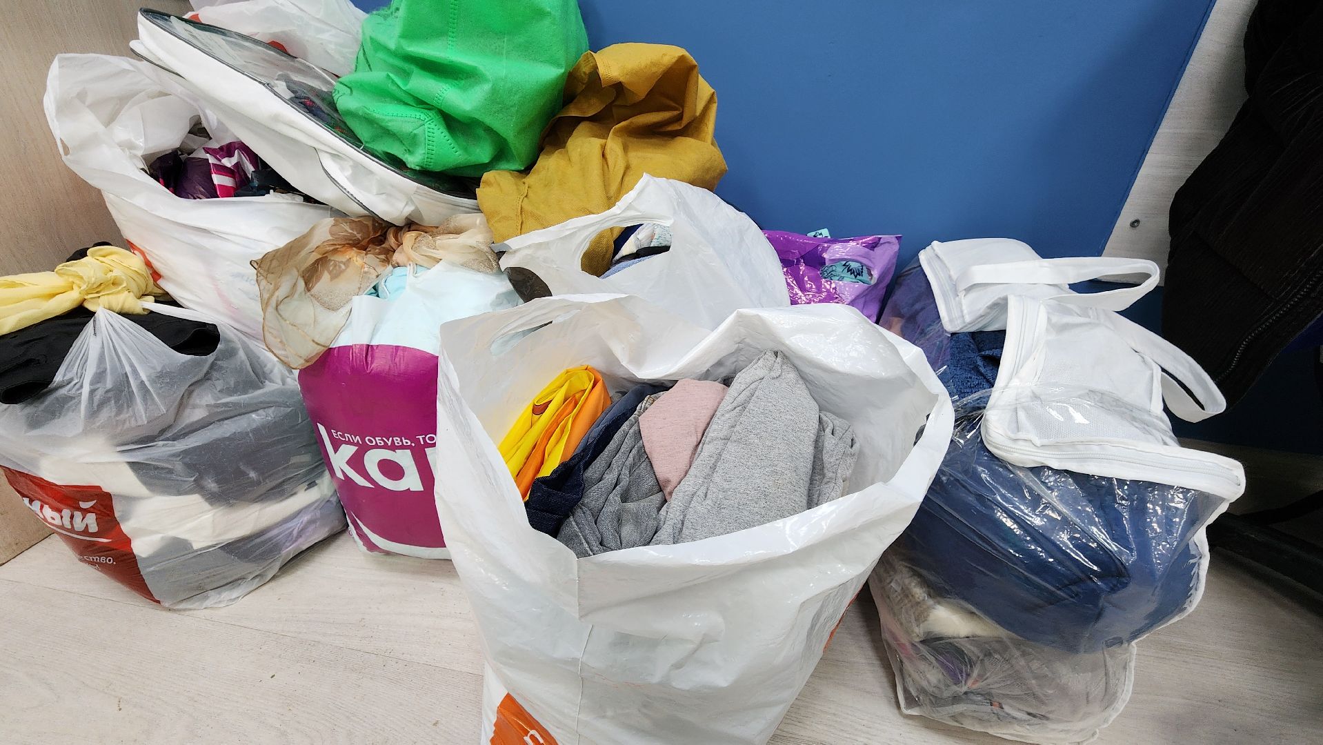 волонтрство, можайский приют для собак, руза, рузский муниципальный округ, молодежный центр,