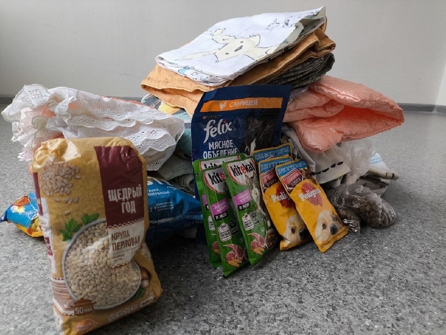 волонтрство, можайский приют для собак, руза, рузский муниципальный округ, молодежный центр,