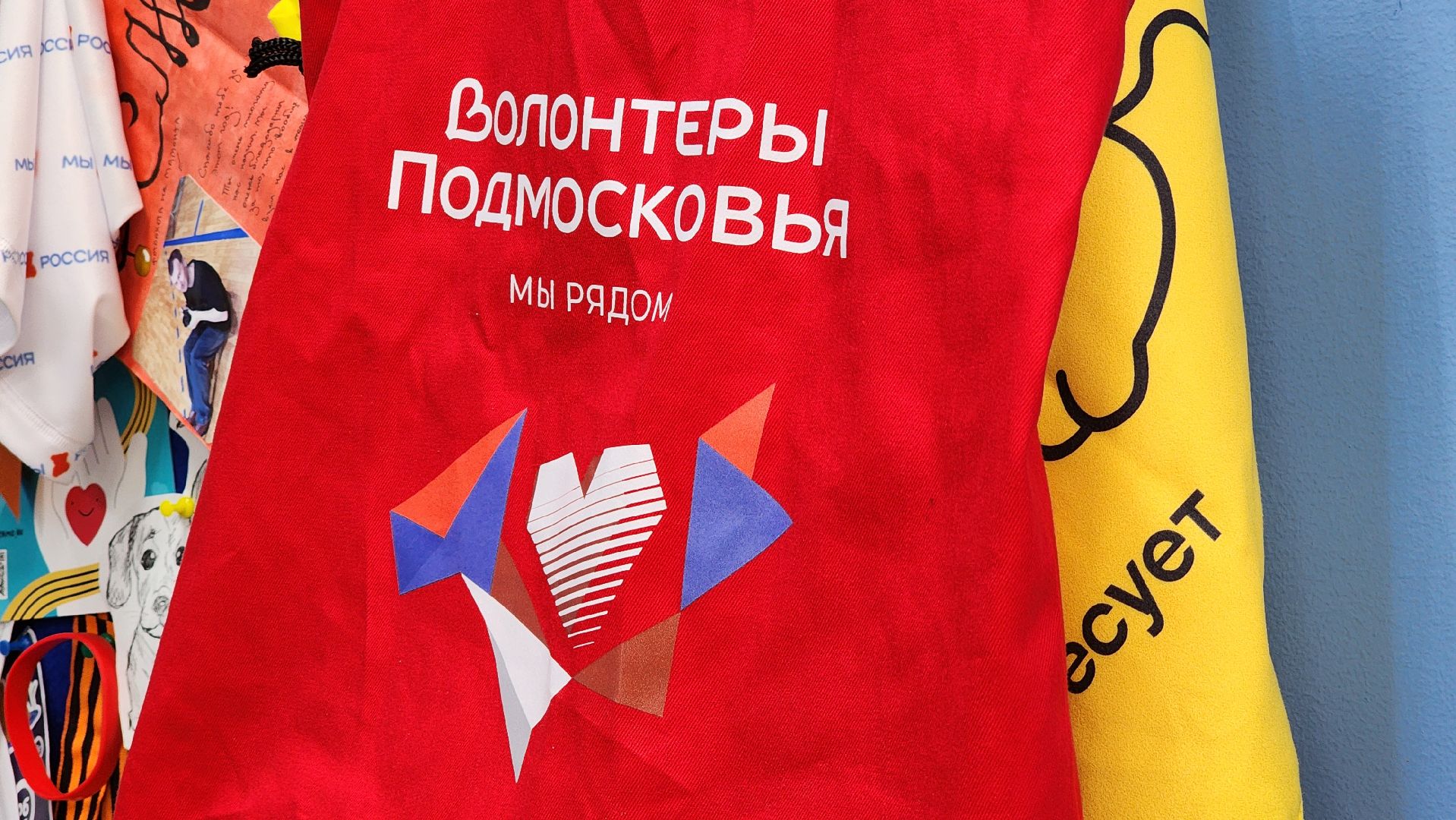 волонтрство, можайский приют для собак, руза, рузский муниципальный округ, молодежный центр,