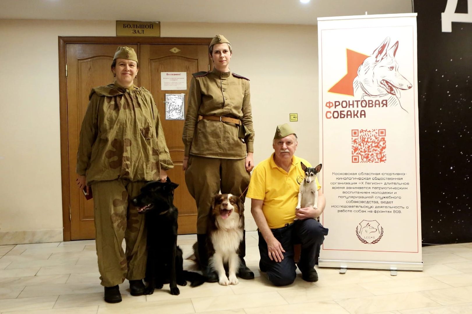 долгопрудный, x-легион, Собака в городе, фронтовая собака,школьники, вертикалки