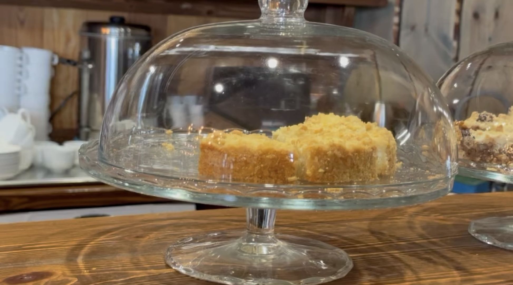 шаховская, сыроварня, ферма, рабочие места,