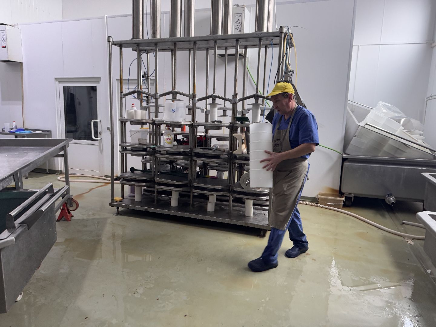 шаховская, сыроварня, ферма, рабочие места,