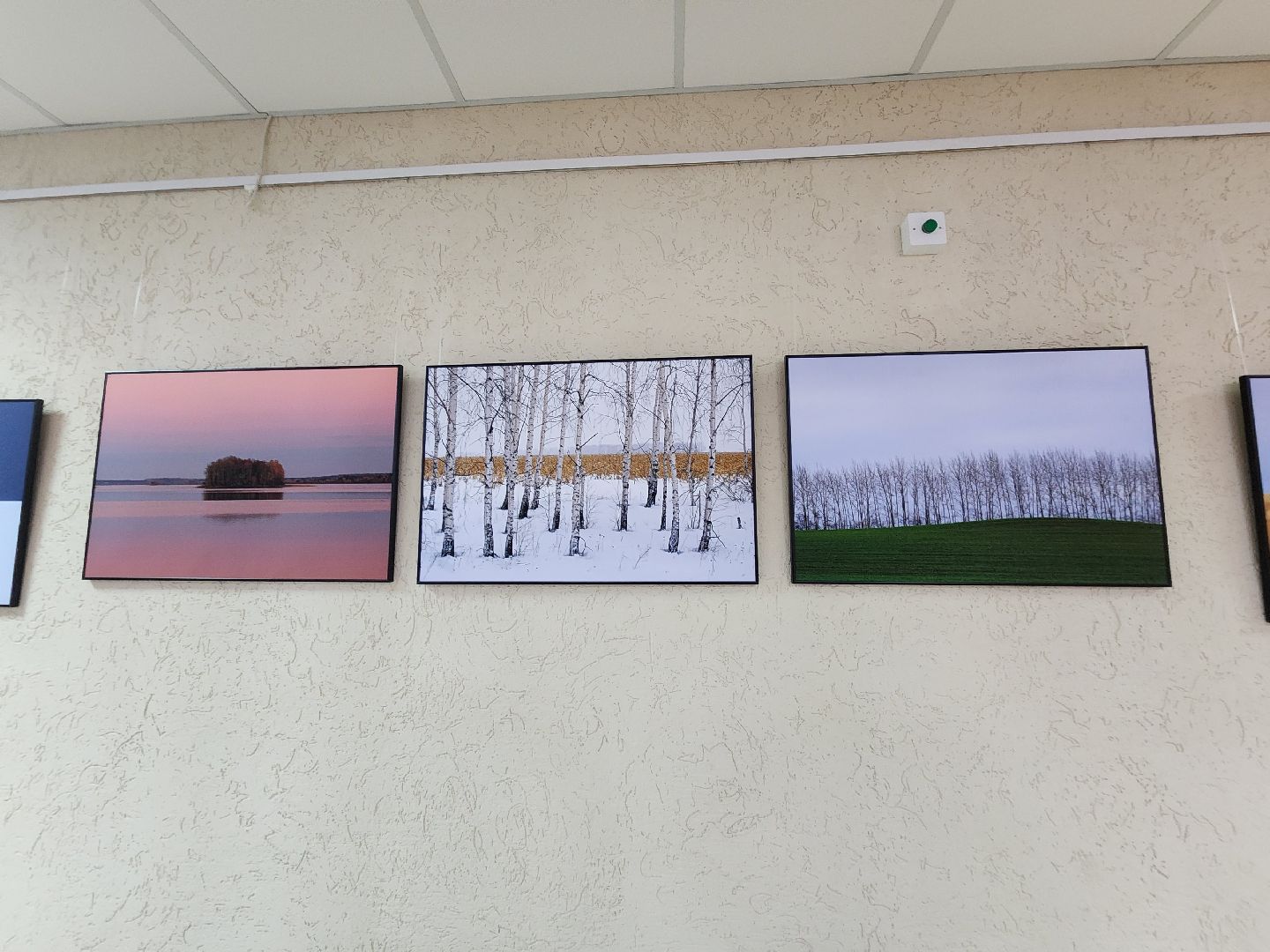 пущино, серпухов, культура, фотовыставка,