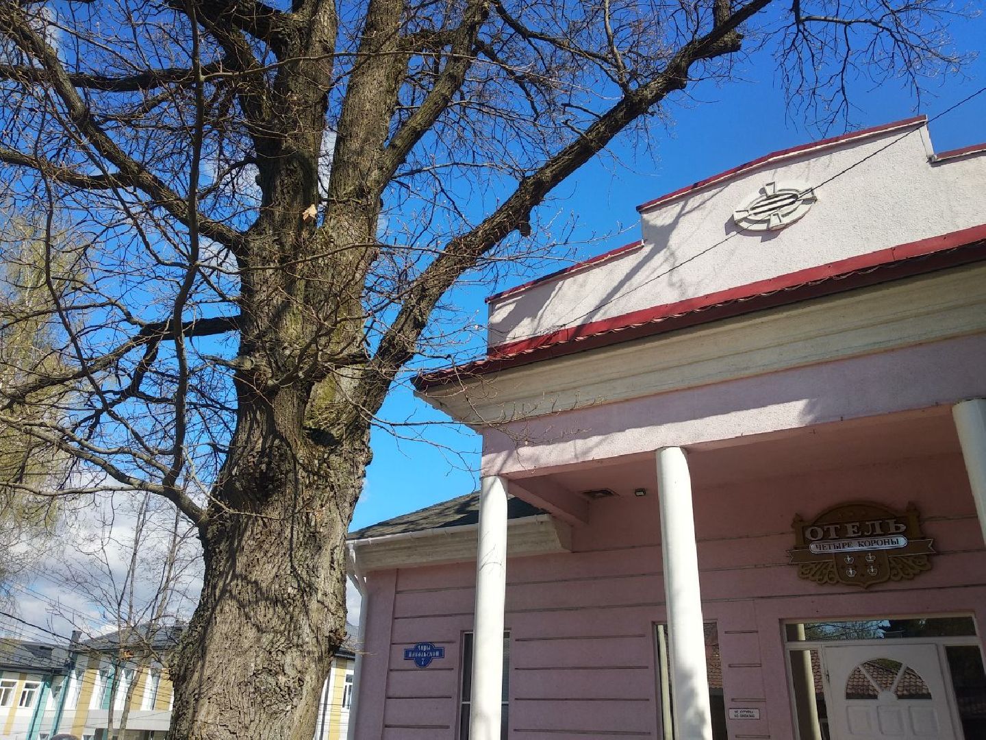 Дмитров, музей Дмитровский кремль, Областной субботник