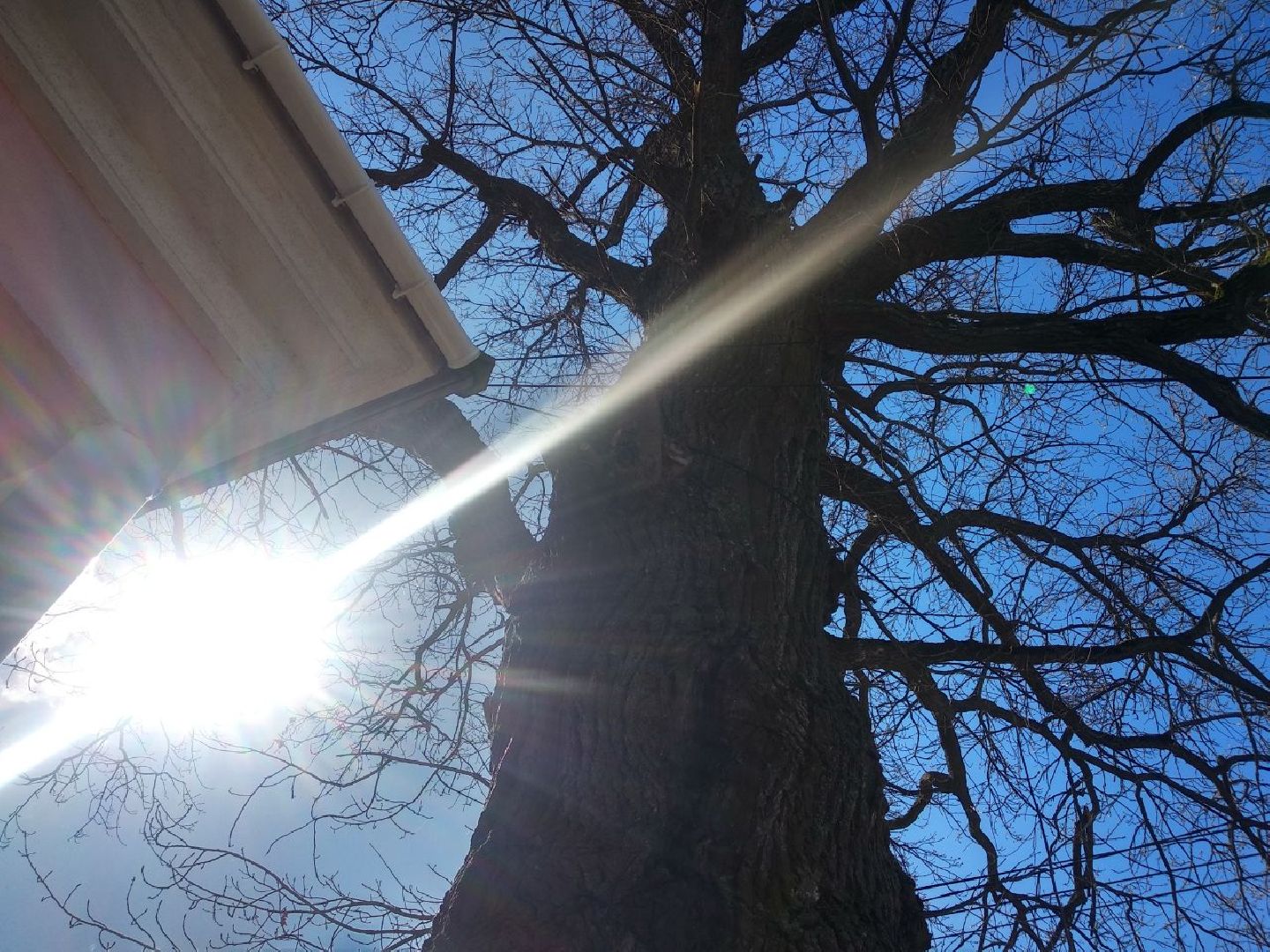 Дмитров, музей Дмитровский кремль, Областной субботник