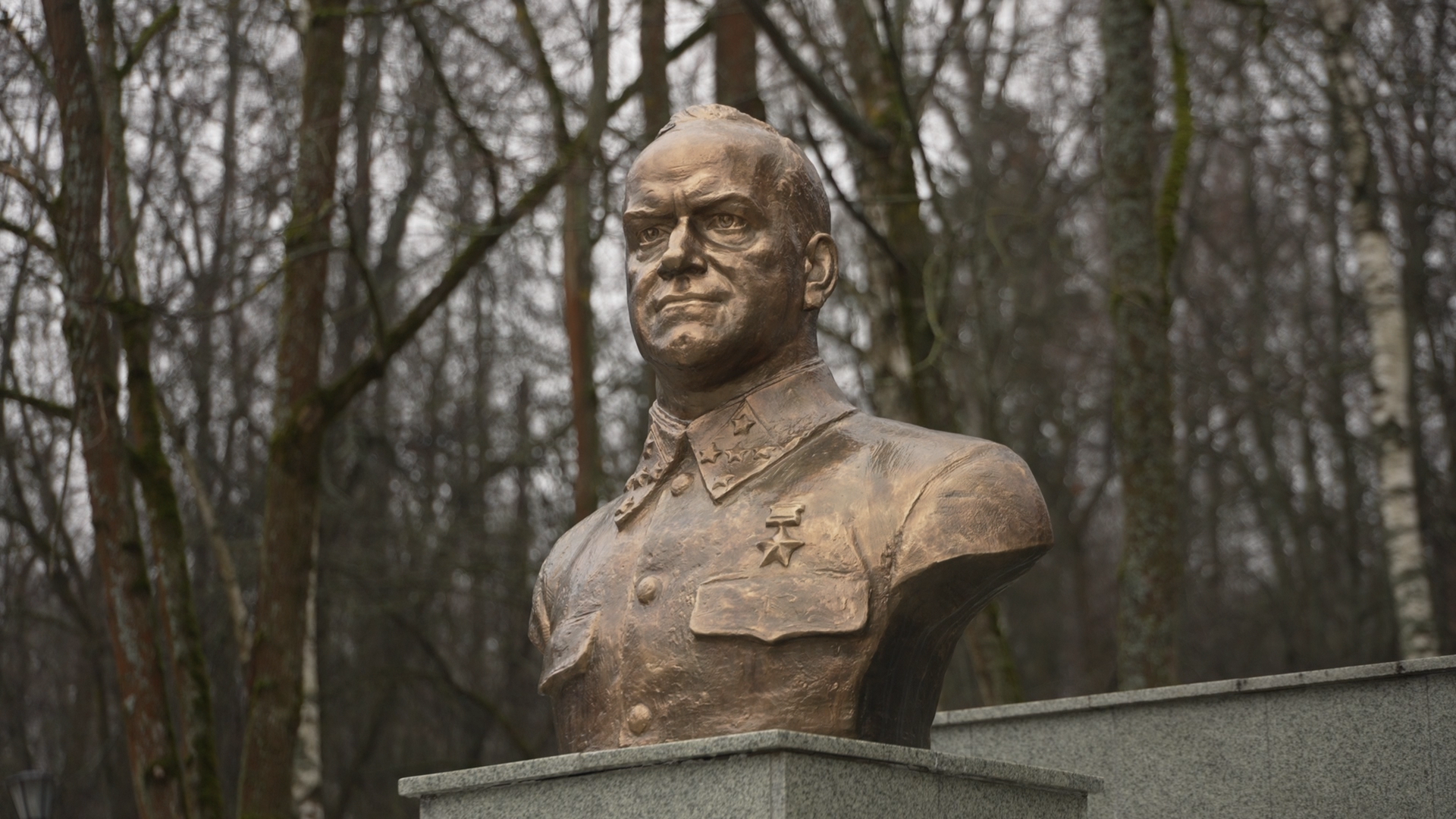 блокада Ленинграда, акция Память, Блокадный хлеб, Освобождение от блокады, власиха акция Память, вертикалки