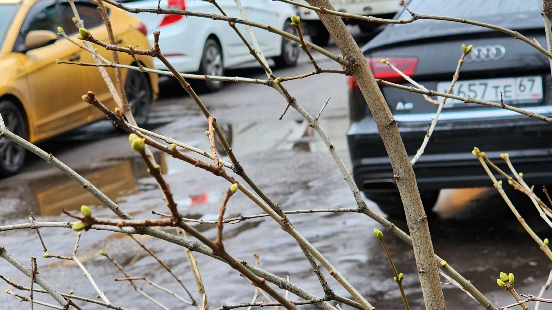 люберцы, ЛГЖТ, уборка территории, управляющая компания, вертикалки,