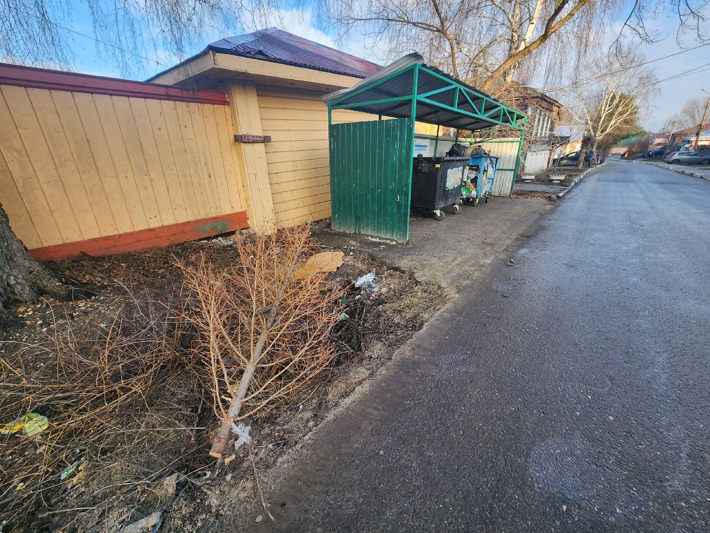 Коломна, переработка елей, экологическая акция,