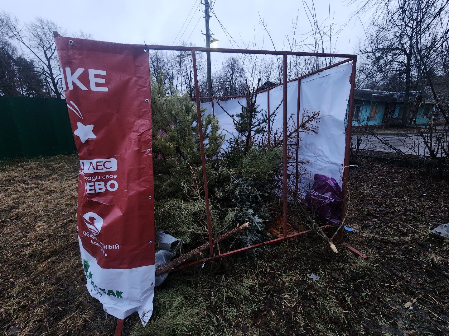 Коломна, переработка елей, экологическая акция,