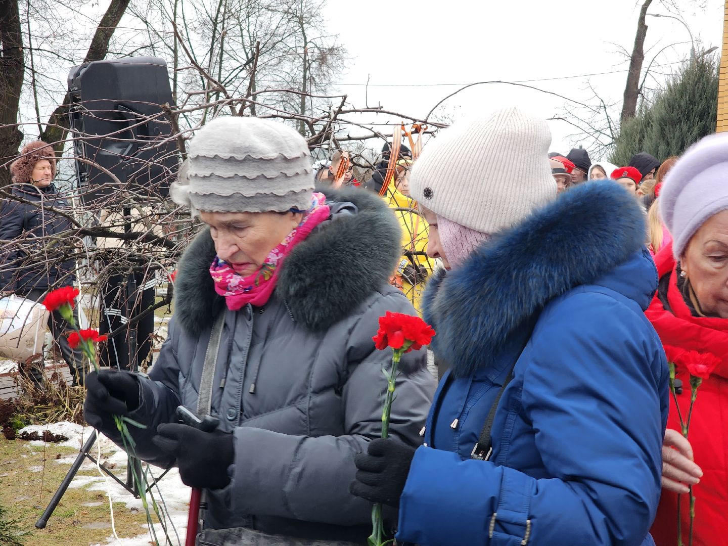 вертикалки, пушкино,