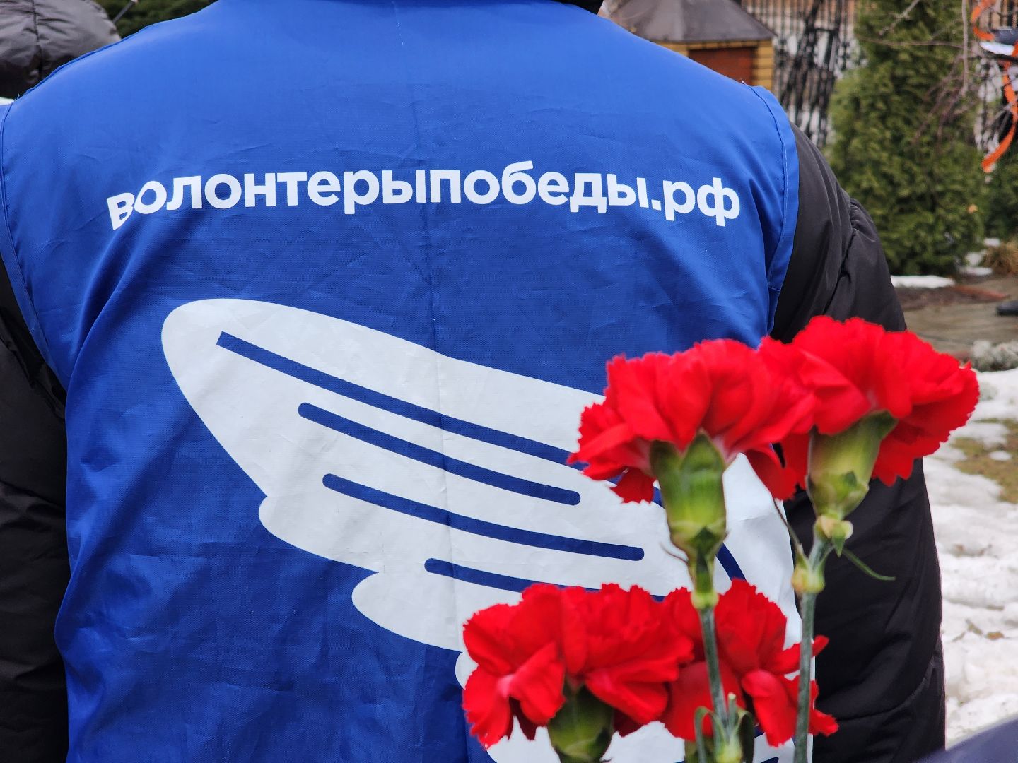 вертикалки, пушкино,