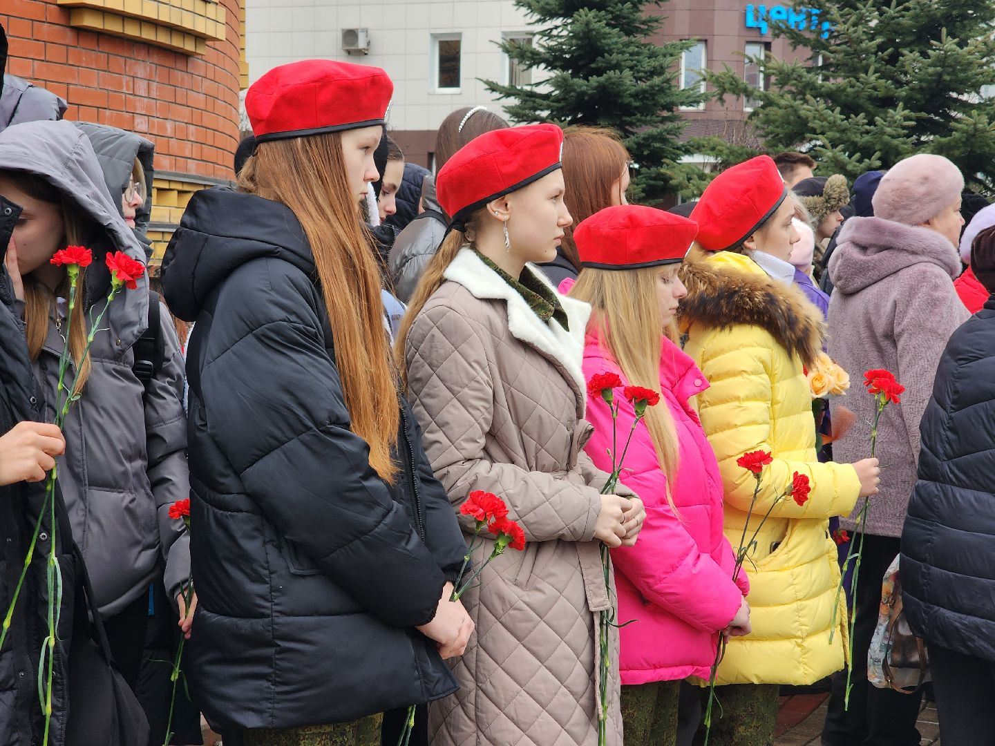 вертикалки, пушкино,