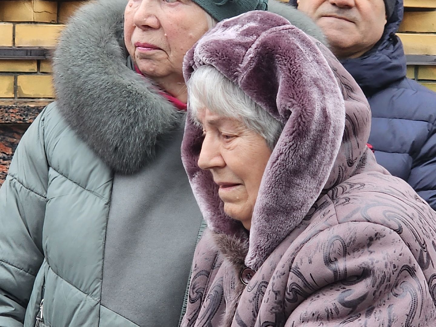 вертикалки, пушкино,