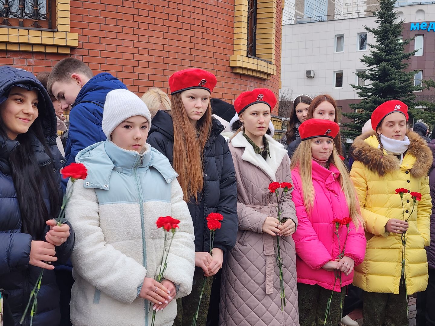 вертикалки, пушкино,