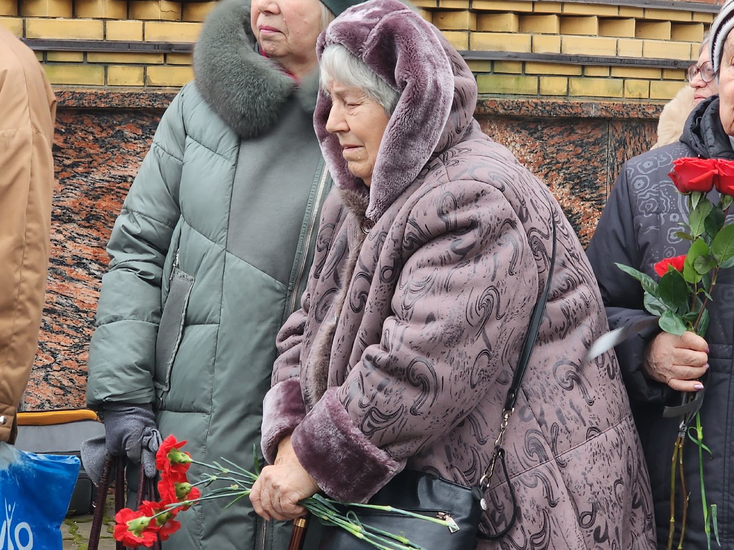 вертикалки, пушкино,