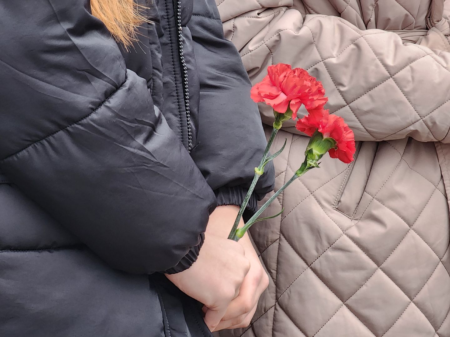 вертикалки, пушкино,