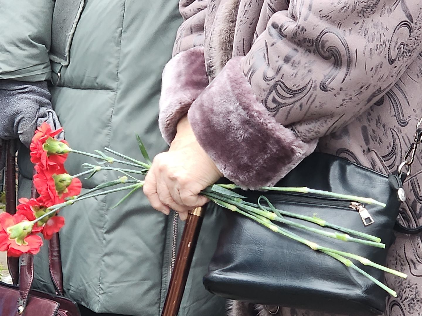 вертикалки, пушкино,