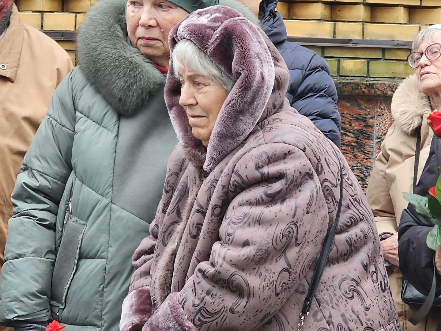 вертикалки, пушкино,