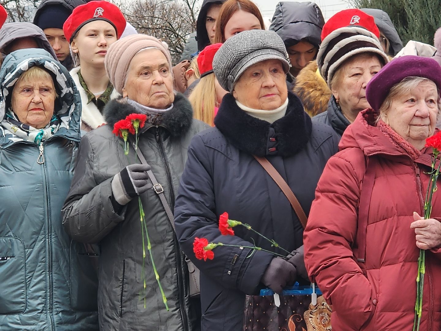 вертикалки, пушкино,