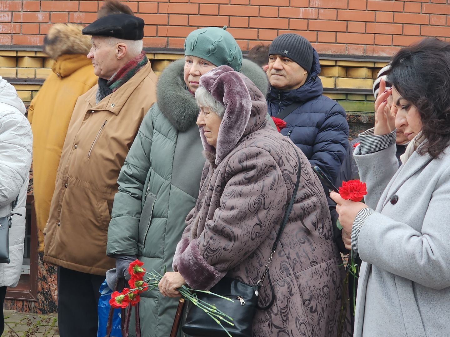 вертикалки, пушкино,