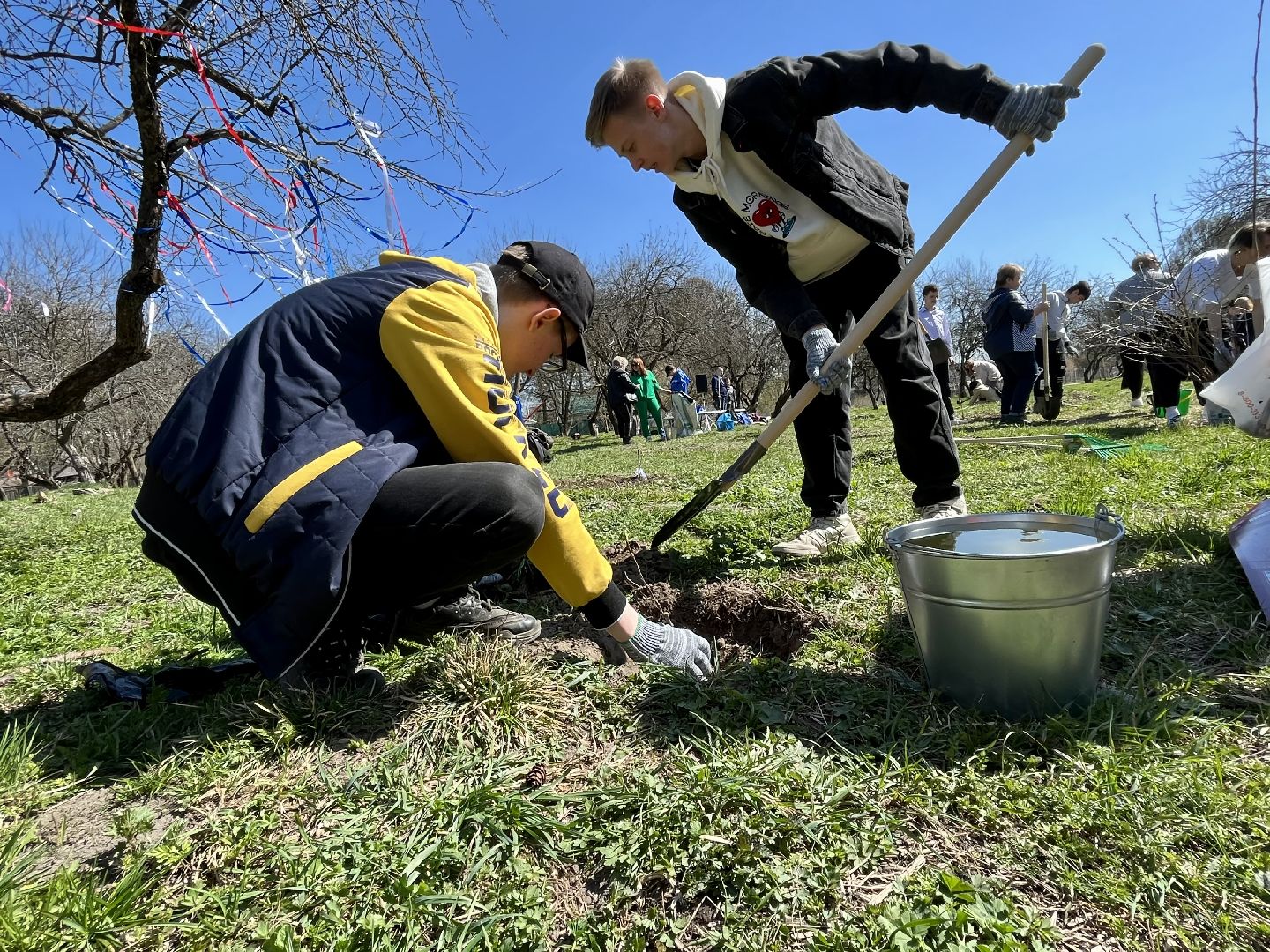 Наро-Фоминск. субботник, яблоневый сад, Наро-Фоминский городской округ