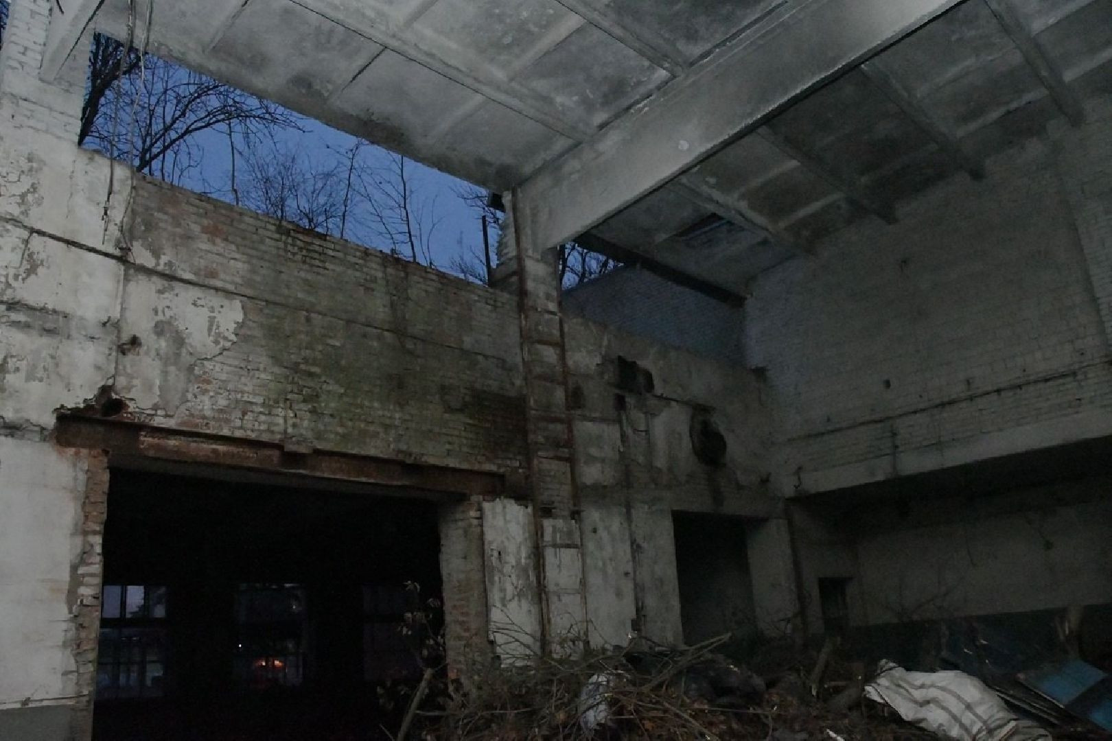 вертикалки, инвестпроект, недвижимость за рубль, программа губернатора,экономика власиха, компания СЛОН,