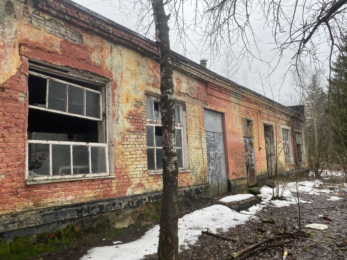 вертикалки, инвестпроект, недвижимость за рубль, программа губернатора,экономика власиха, компания СЛОН,