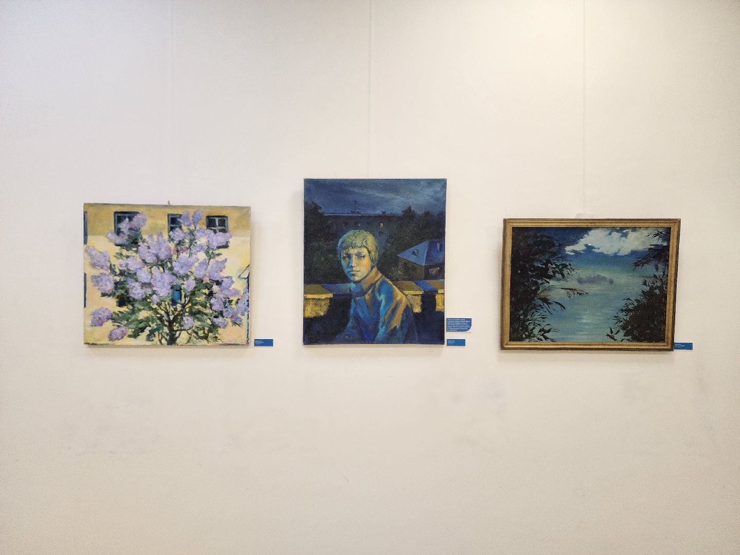 люберцы, Картины, Художник, Выставка, вертикалка