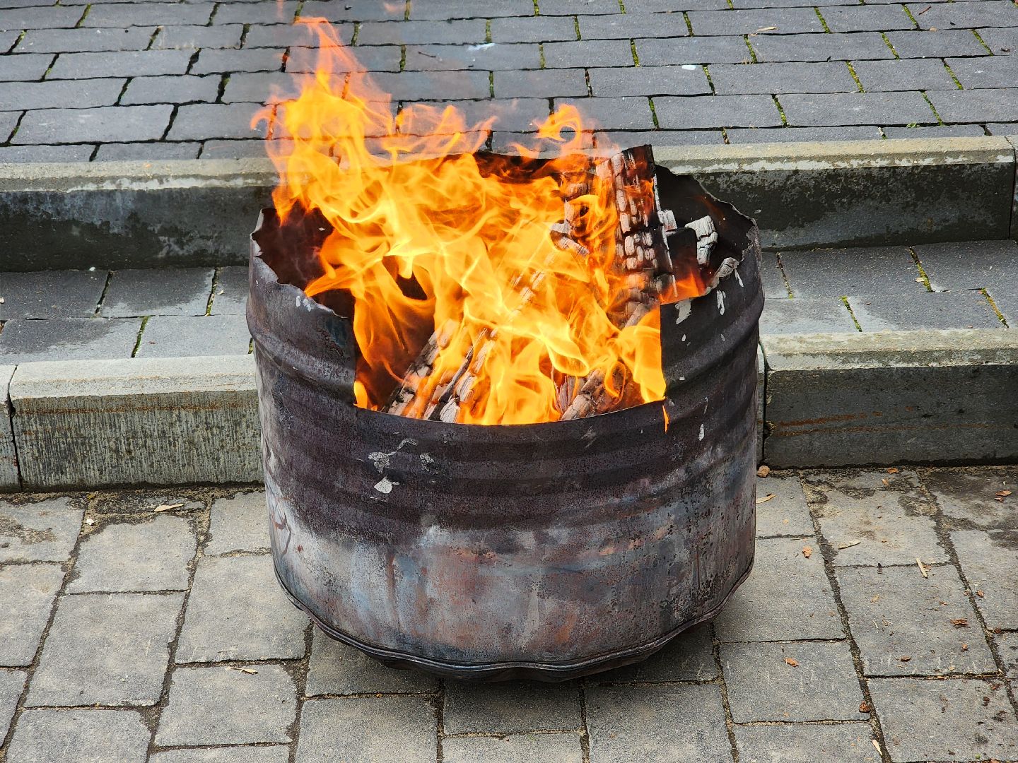 блокада ленинграда, митинг памяти, шатура,