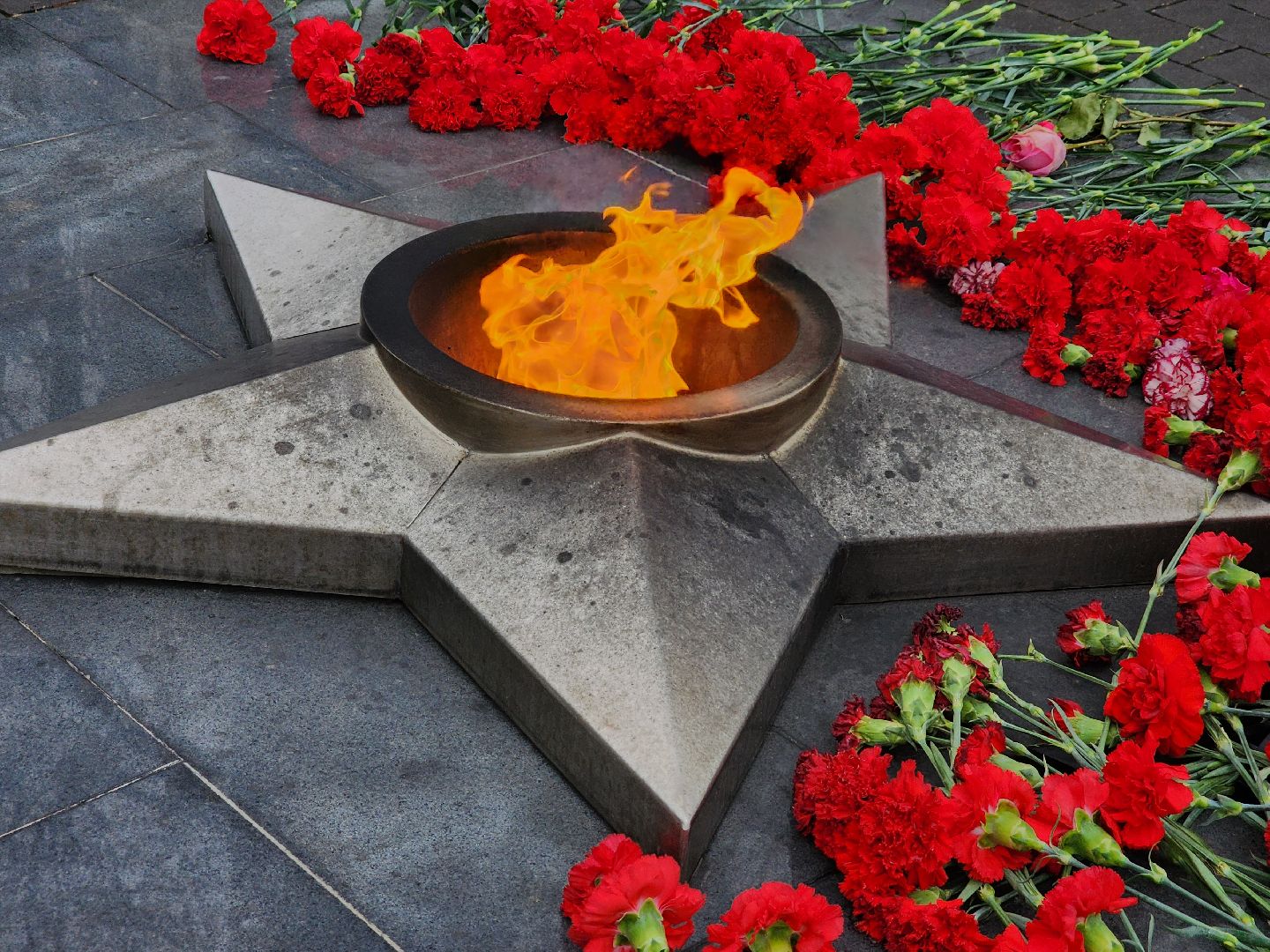 блокада ленинграда, митинг памяти, шатура,