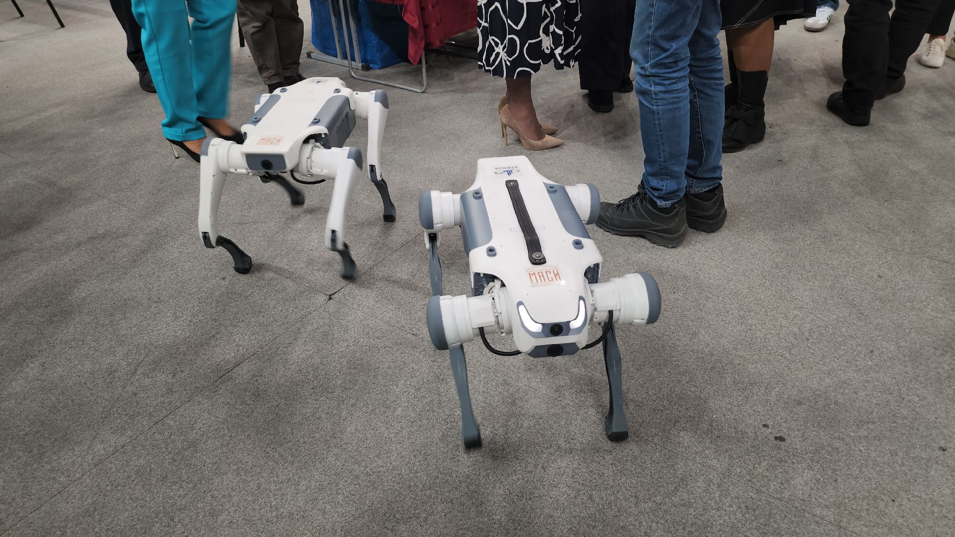 люберцы, ярмарка вакансий, вузы, выпускники, школьники, инженеры,