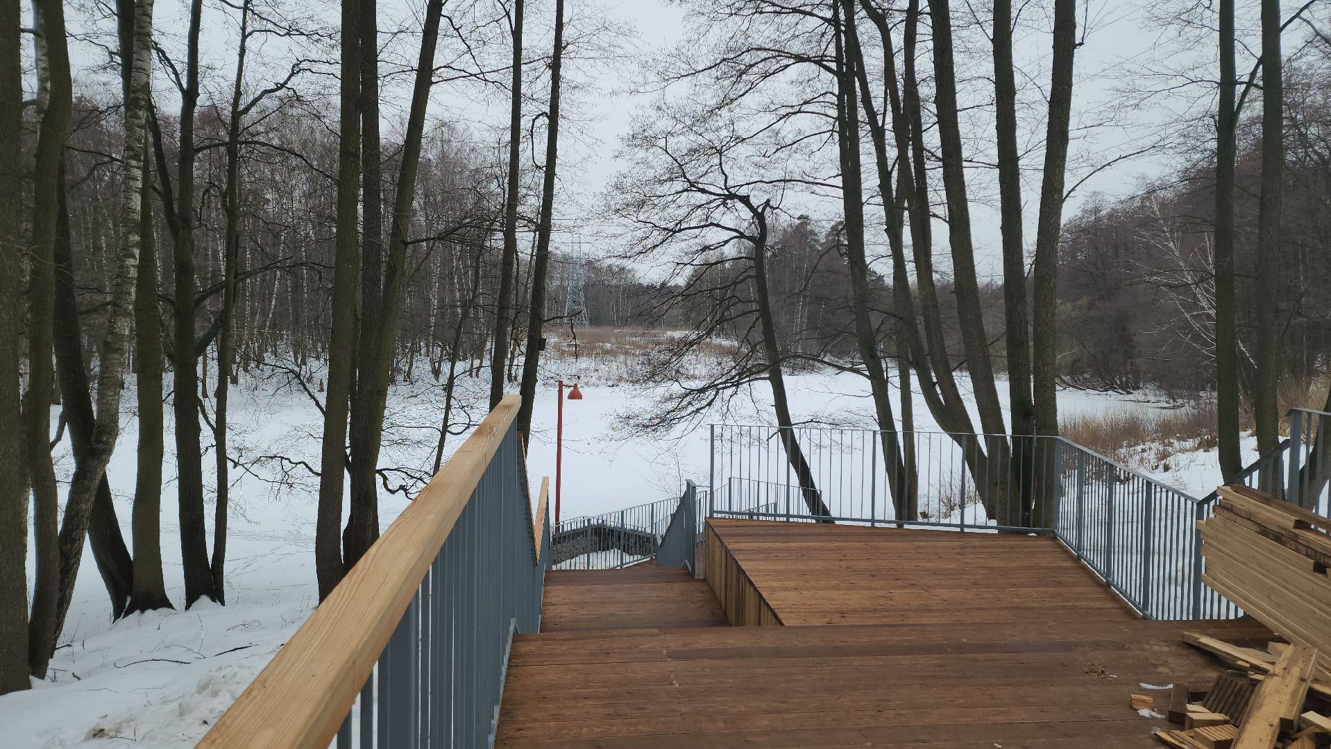 кучинский лесопарк, балашиха, благоустройство,